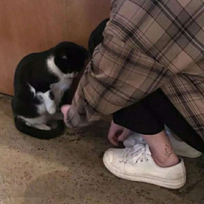 荣耀与泡泡玛特联名潮玩手机正式发布