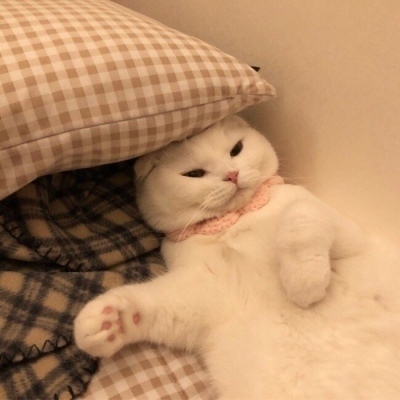 医保局紧急提醒：看慢特病忘说这句话