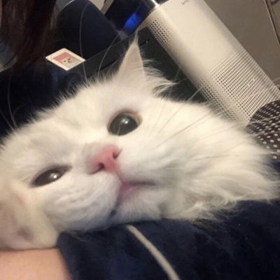 被央视点名的6大冬景！第3个美到限流